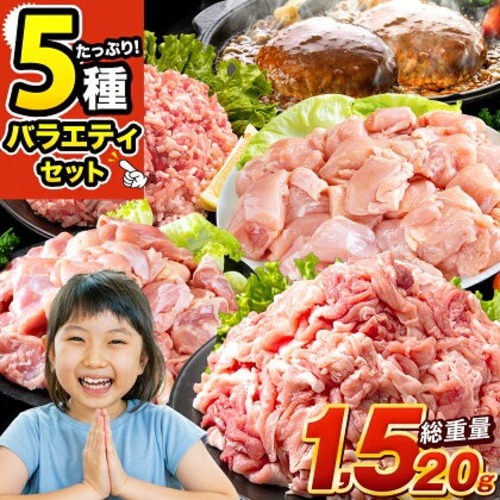 総重量1,520g! お肉5種 バラエティセット 肉 豚肉 鶏肉 ハンバーグ 5種